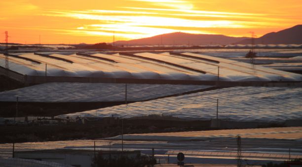 COAG lamenta el «desprecio» del comisario europeo de Agricultura al campo andaluz