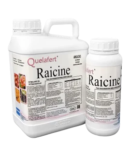 Enraizante sin hormonas, fortalece las raíces