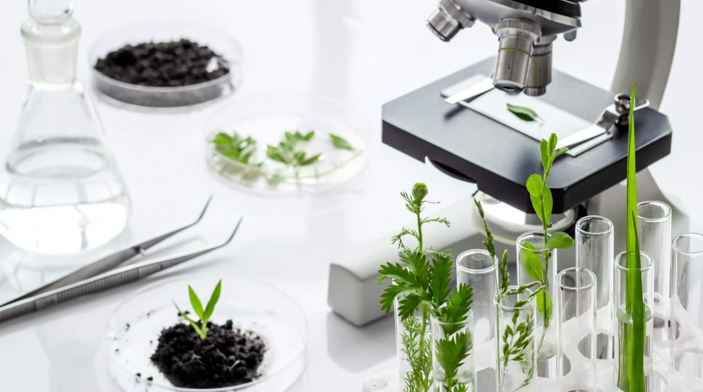 biotecnologia aplicada al control biologico
