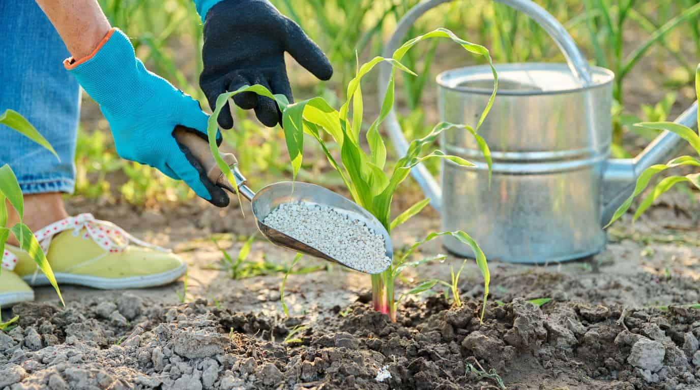 fertilizacion agricultura ecologica