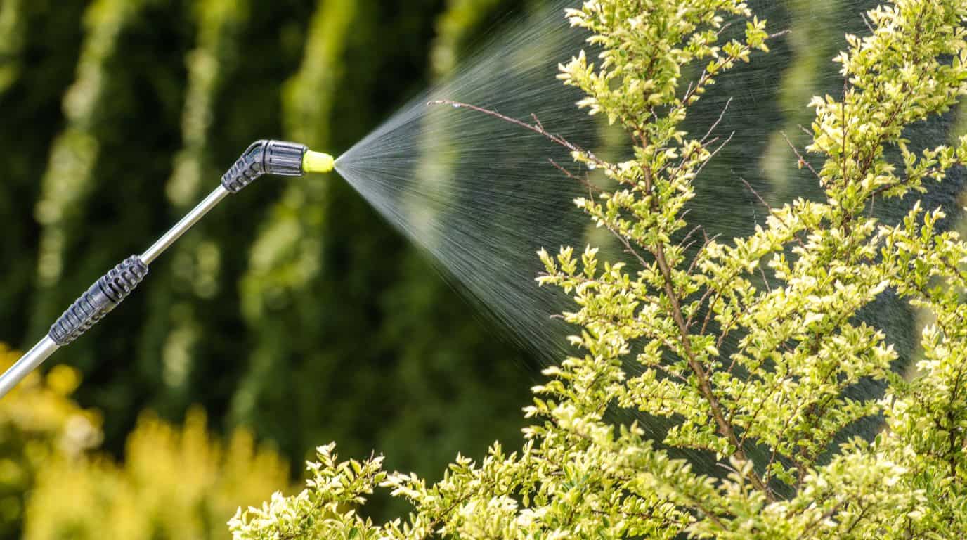insecticidas ecologico