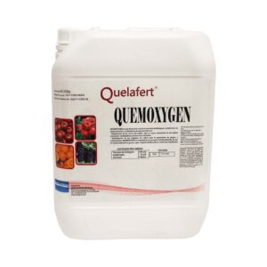 desinfectante de suelo quemoxygen QUELAFERT® QUEMOXYGEN - Desinfectante de suelo para un cultivo sano